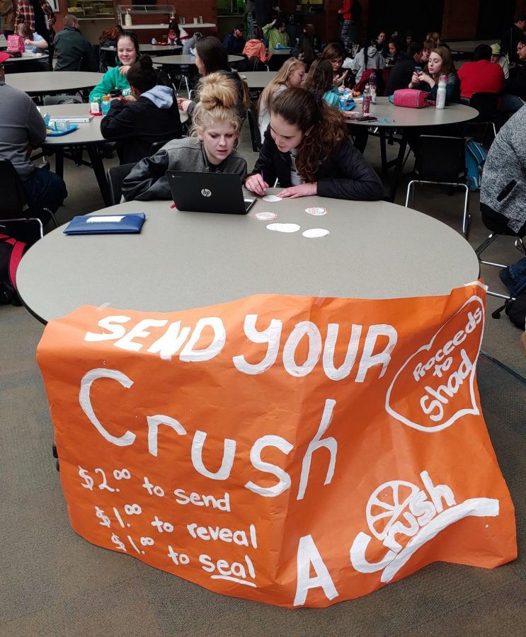 Crushed it: DHS STUCO shares love while raising dough