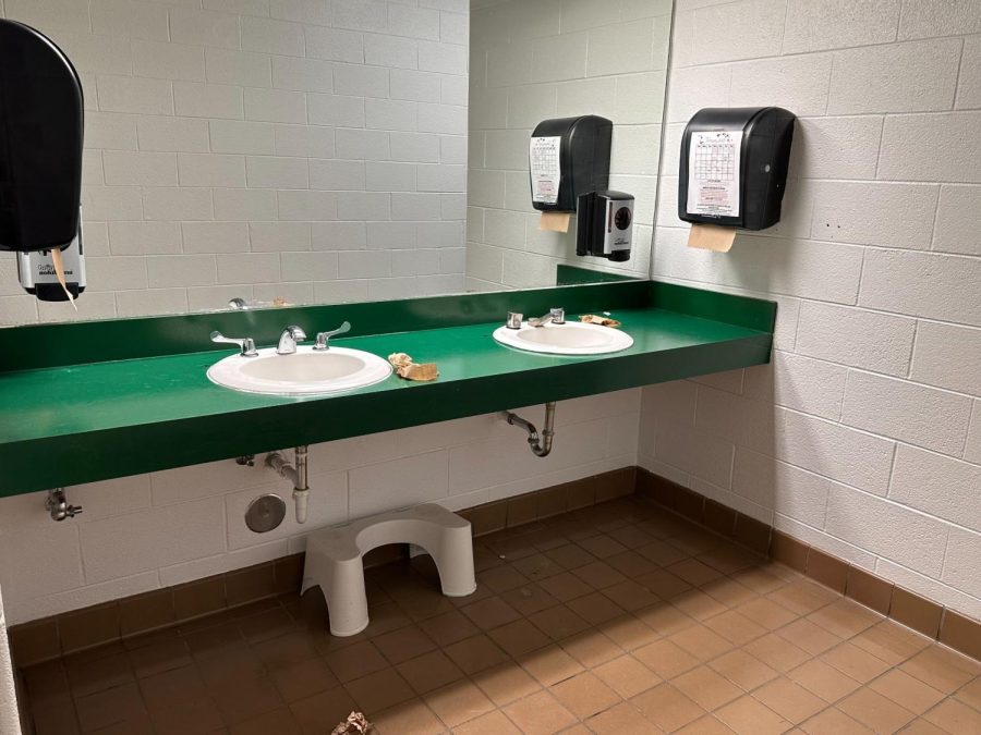 Flush the old: The conditions of the school bathrooms