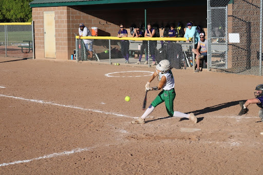 Softball madness!