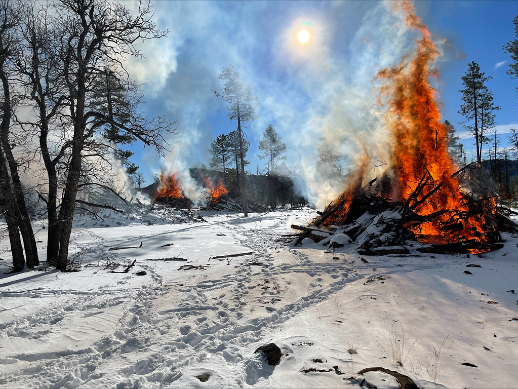 Winter Prescribed Pile Burn on Williams RD - 01/09/2024 | Flickr