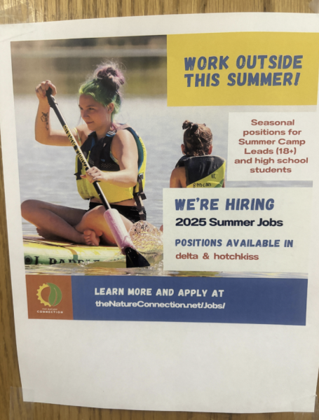 Looking for a job?