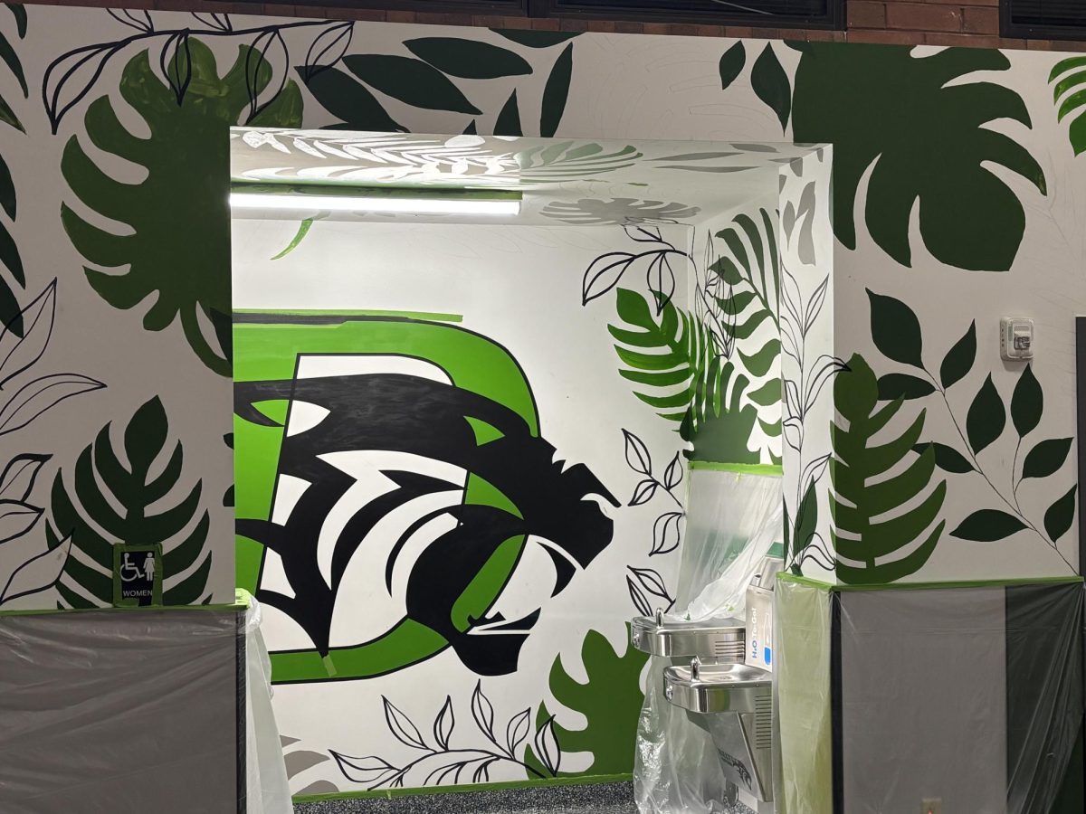 DHS art classes paint a new mural